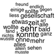 Entsagung und Ironie bei Goethe
